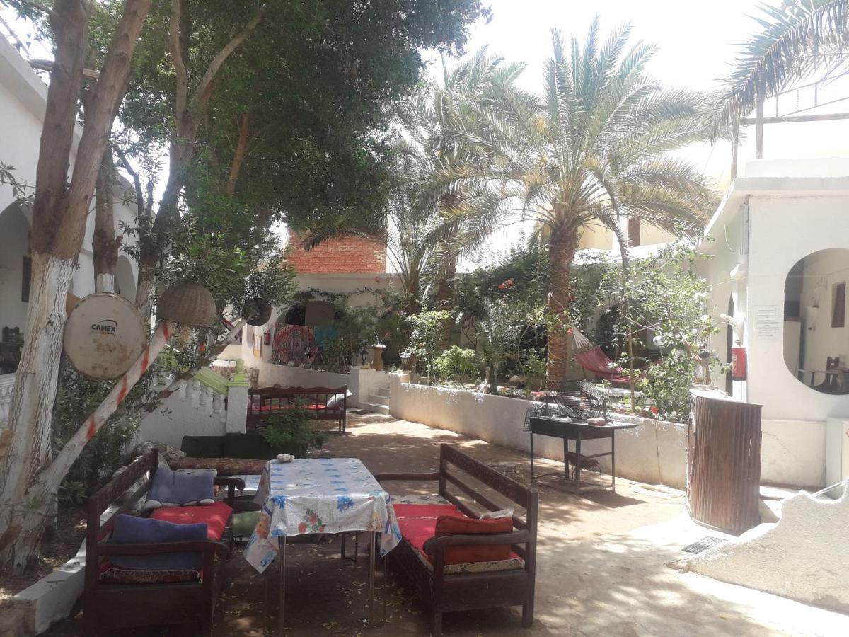 Fighting Kangaroo Camp Hotel Dahab Exterior photo