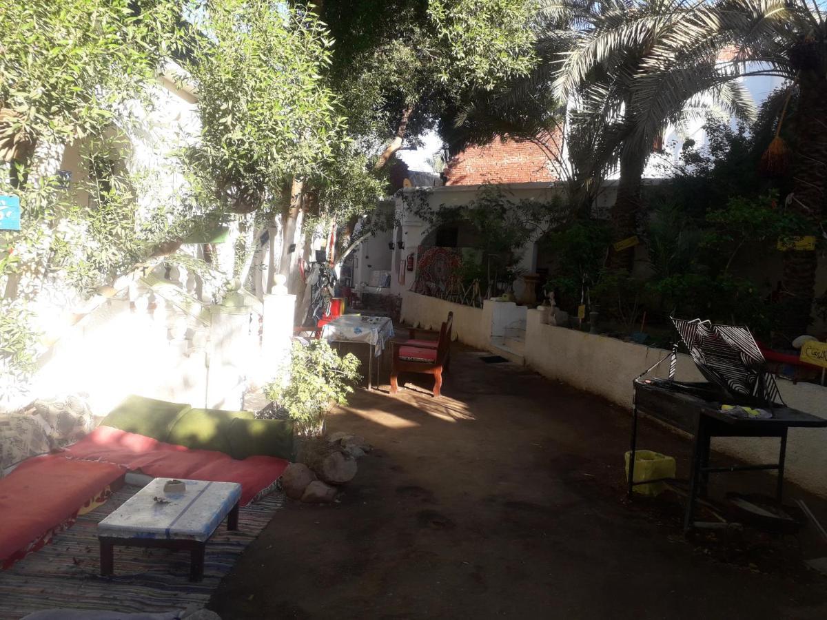 Fighting Kangaroo Camp Hotel Dahab Exterior photo