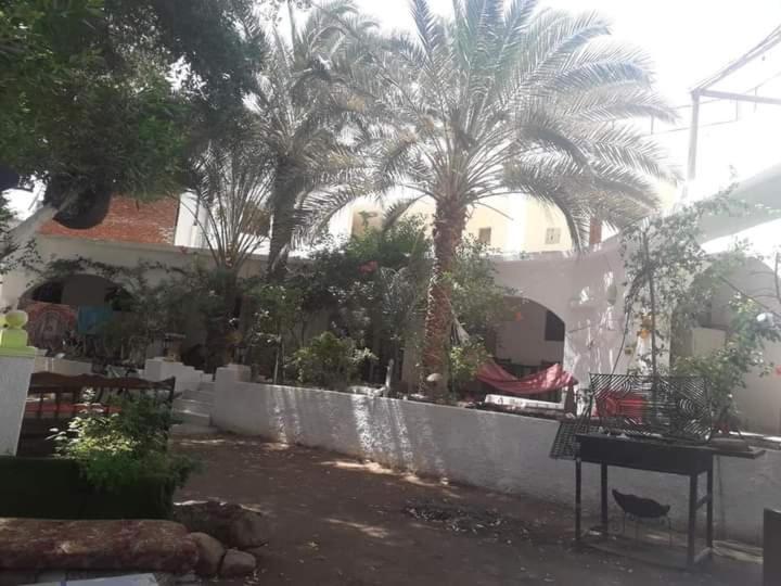Fighting Kangaroo Camp Hotel Dahab Exterior photo