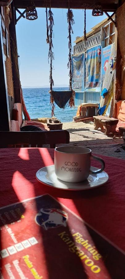 Fighting Kangaroo Camp Hotel Dahab Exterior photo