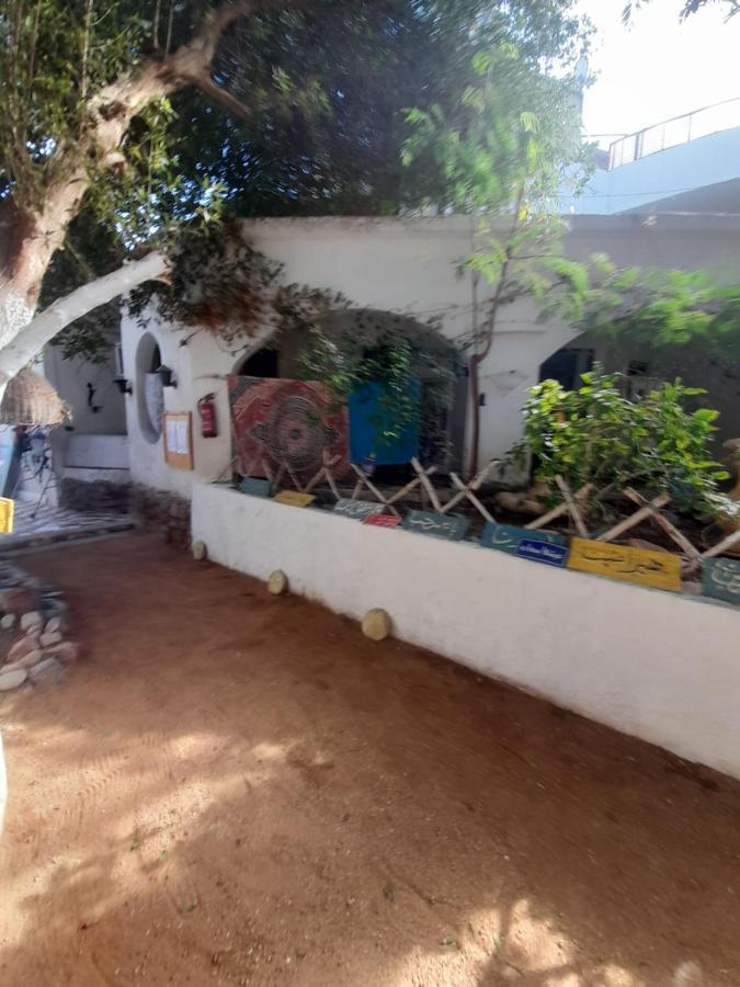 Fighting Kangaroo Camp Hotel Dahab Exterior photo