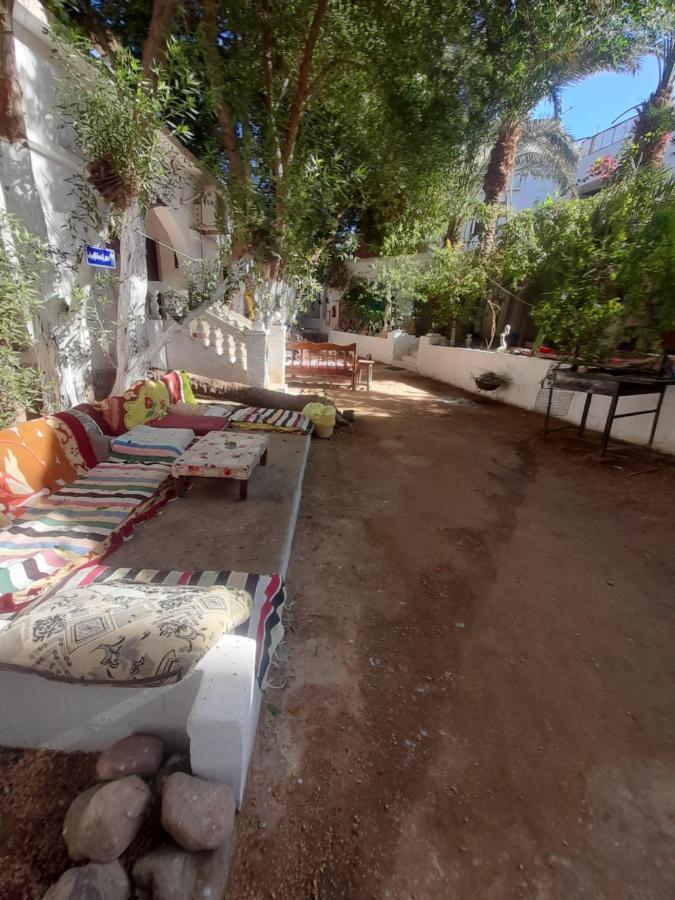 Fighting Kangaroo Camp Hotel Dahab Exterior photo