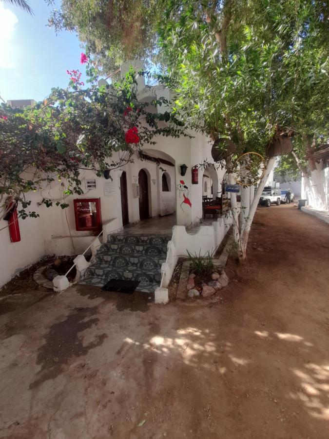 Fighting Kangaroo Camp Hotel Dahab Exterior photo