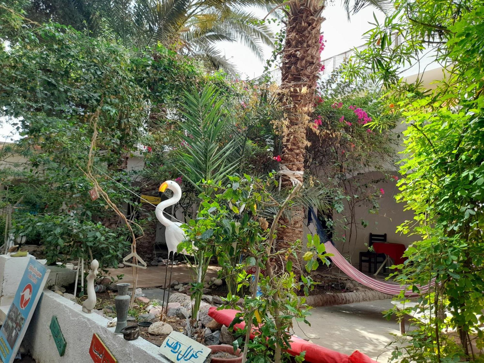 Fighting Kangaroo Camp Hotel Dahab Exterior photo