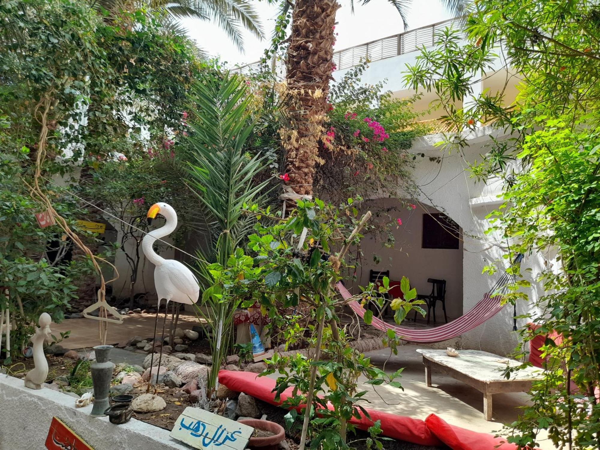 Fighting Kangaroo Camp Hotel Dahab Exterior photo