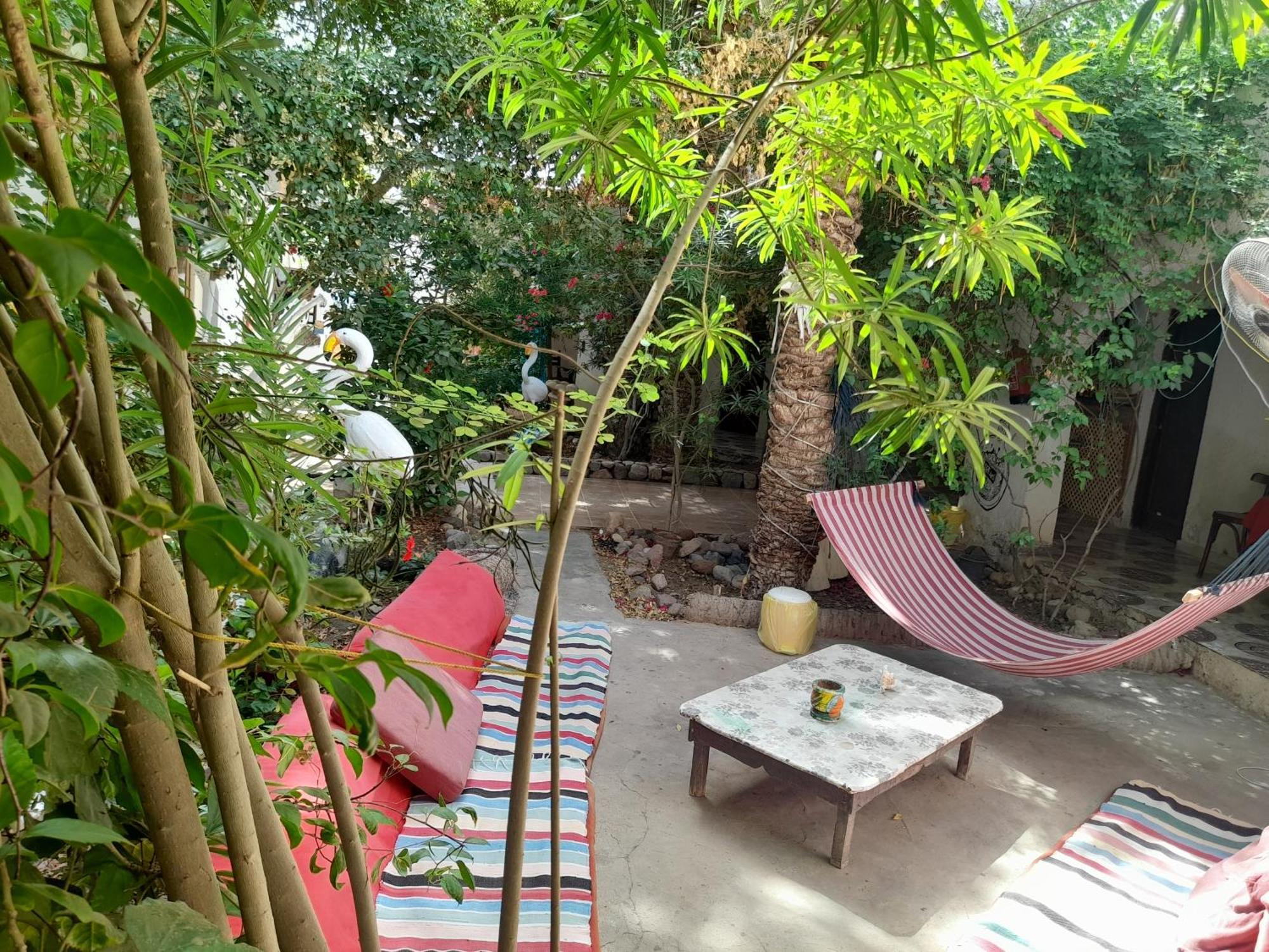 Fighting Kangaroo Camp Hotel Dahab Exterior photo